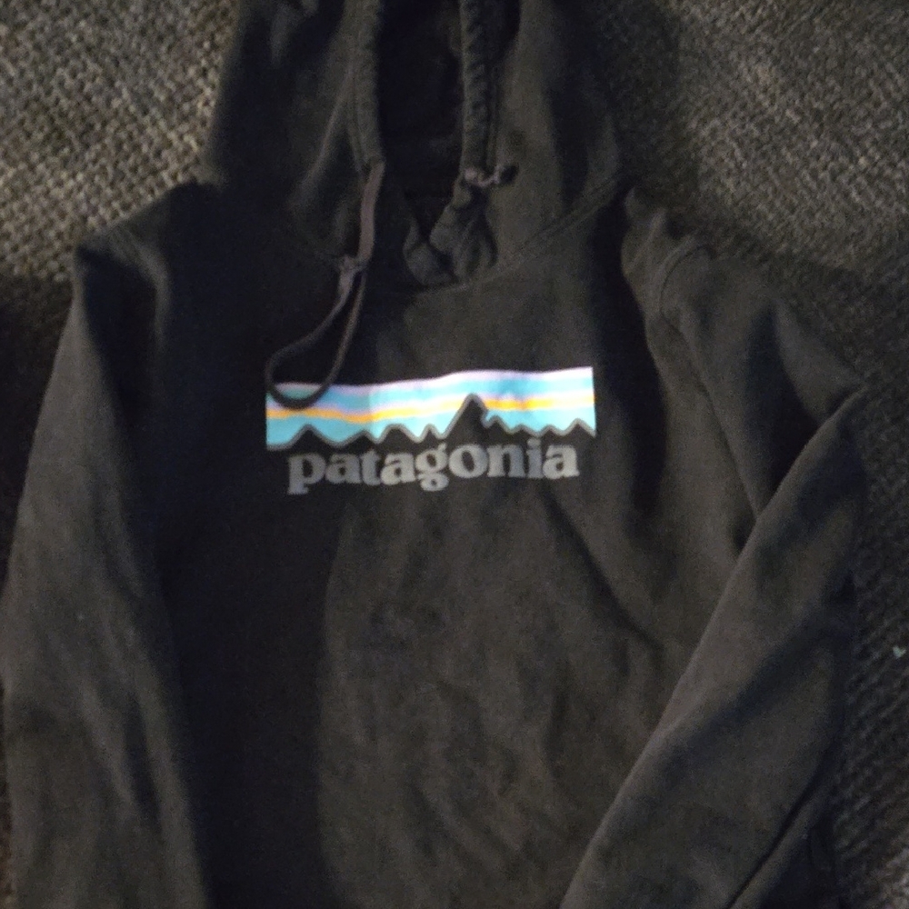 Patagonia Black Hoodie with Logo Design